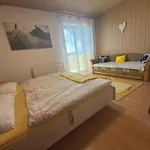 Domcek Pod Tatrami 招待所